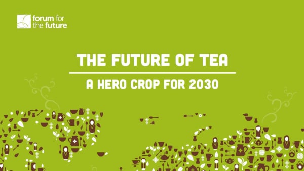 The Future of Tea: A Hero Crop for 2030